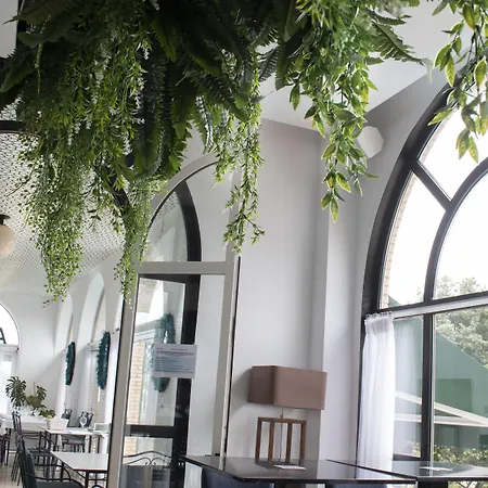 Olimpo Hotel Isla