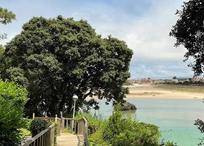 奥林普酒店 酒店