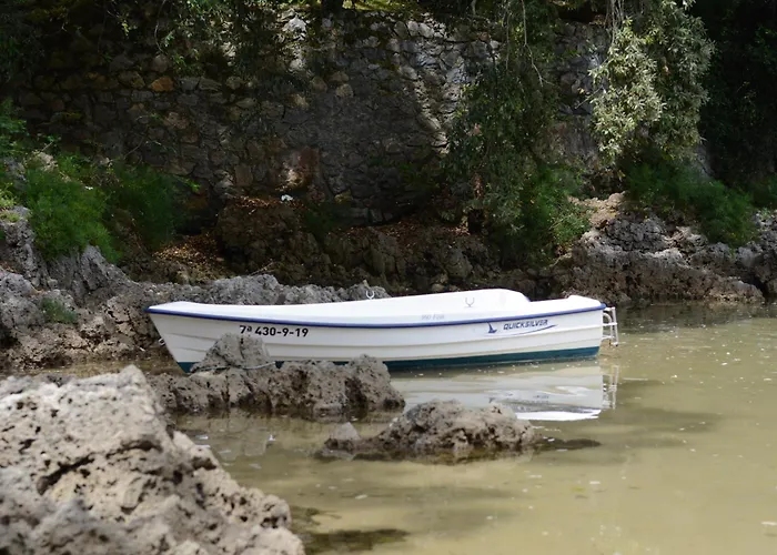 奥林普酒店 酒店 4*
